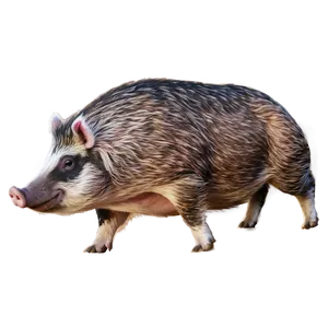 Majestic Hog PNG Cex17 PNG