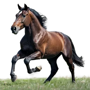 Majestic Horse Gallop PNG 63