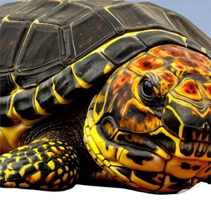 Majestic Leatherback Turtle Portrait PNG 06292024 PNG