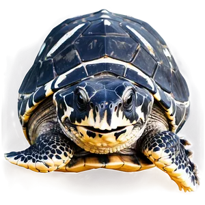 Majestic Leatherback Turtle Portrait PNG 06292024 PNG