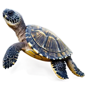 Majestic Leatherback Turtle Portrait PNG Hiu35 PNG
