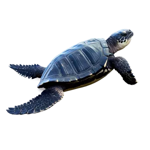 Majestic Leatherback Turtle Swimming Png Tmc PNG image