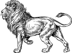 Majestic Lion Illustration PNG image