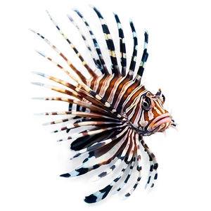 Majestic Lionfish Png 06292024 PNG image