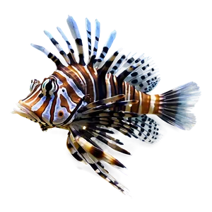 Majestic Lionfish Png 26 PNG image