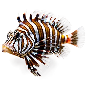 Majestic Lionfish Png 6 PNG image