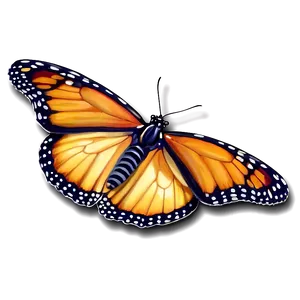 Majestic Monarch Butterfly Png 05252024 PNG image
