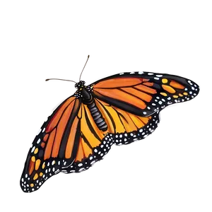 Majestic Monarch Butterfly Png Omf PNG image