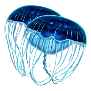Majestic Moon Jelly Illustration PNG Bcj4 PNG