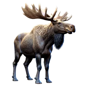 Majestic Moose PNG 05242024
