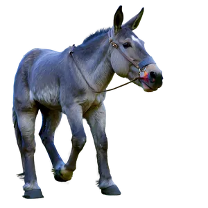 Majestic Mule Stance PNG 06292024 PNG