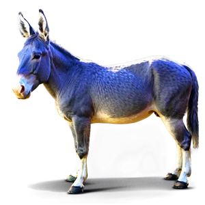 Majestic Mule Stance PNG Aru89 PNG