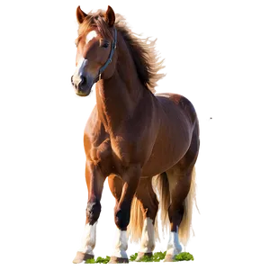 Majestic Mustang Horse Pose PNG 17
