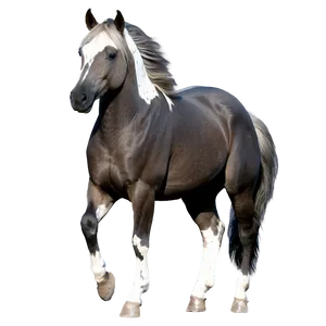 Majestic Mustang Horse Pose PNG 93