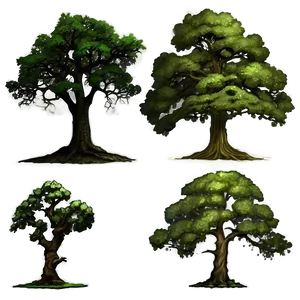 Majestic Oak Trees PNG 20