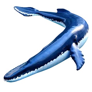 Majestic Ocean Whale Png 05212024 PNG image