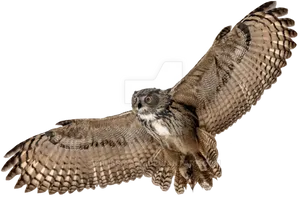 Majestic_ Owl_ In_ Flight.png PNG image