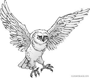 Majestic_ Owl_ In_ Flight.png PNG image