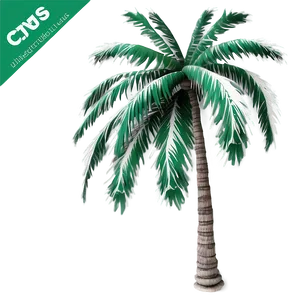 Majestic Palm Tree PNG 04292024
