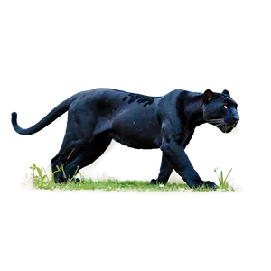 Majestic Panther Png 95 PNG image