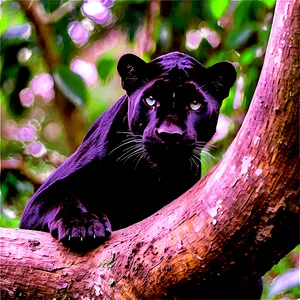 Majestic Panthers In The Wild Png Wdh31 PNG image