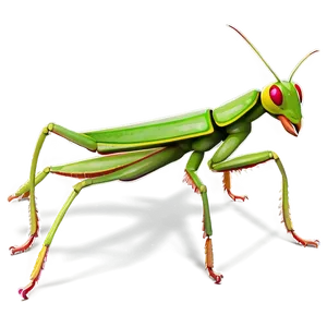 Majestic Praying Mantis PNG 16 PNG