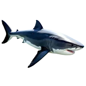 Majestic Predator Great White Shark Png Naq PNG image