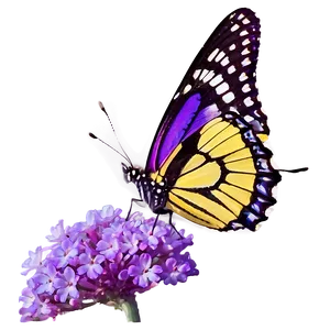 Majestic Purple Butterfly Png 05232024 PNG image