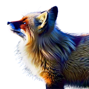 Majestic Red Fox PNG 41 PNG