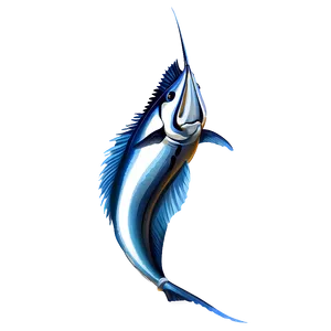 Majestic Sailfish Sketch PNG 63