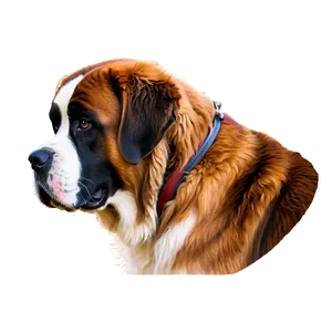 Majestic Saint Bernard Portrait PNG Wkp32 PNG
