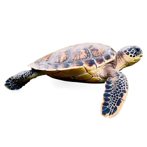 Majestic Sea Turtle Majesty Png Ktb87 PNG image