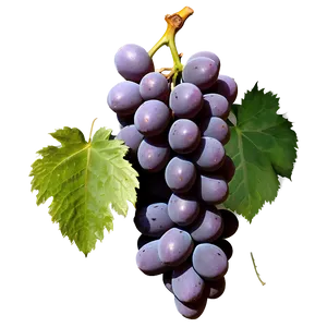 Majestic Single Grape PNG 06292024 PNG