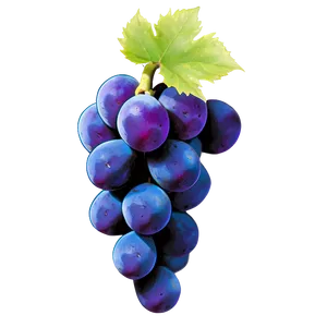 Majestic Single Grape PNG Sdk PNG
