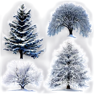 Majestic Snow Trees PNG 06292024