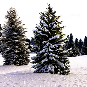 Majestic Snow Trees PNG Jji93