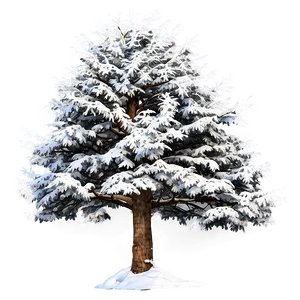 Majestic Snowy Tree Png 06212024 PNG image