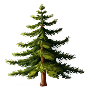 Majestic Spruce Tree Clipart Png 06132024 PNG image