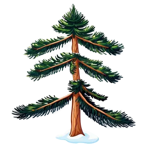 Majestic Spruce Tree Clipart Png 06132024 PNG image