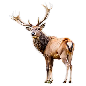 Majestic Stag Roaring PNG 06292024 PNG