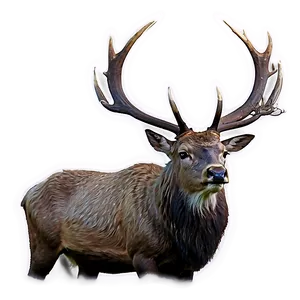 Majestic Stag Roaring PNG 2 PNG