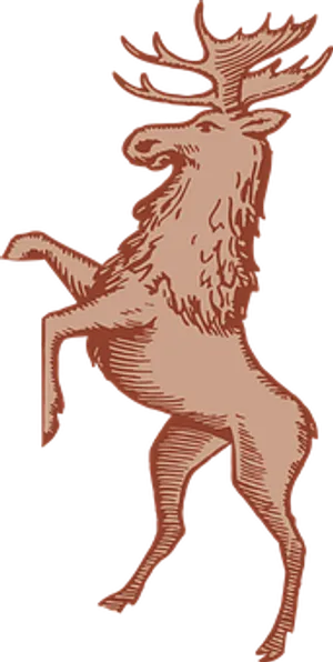 Majestic Standing Moose Illustration PNG