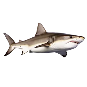 Majestic Tiger Shark Art Png 19 PNG image