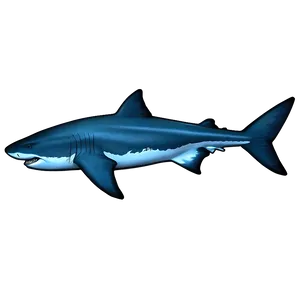 Majestic Tiger Shark Art Png 84 PNG image