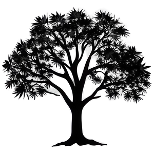 Majestic Tree Silhouette PNG 05212024