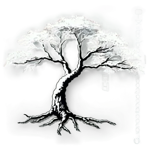 Majestic Tree Silhouette Png 05212024 PNG image