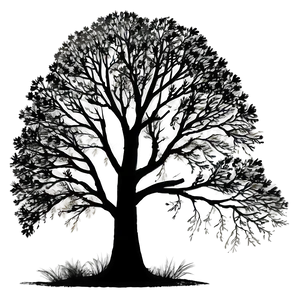 Majestic Tree Silhouette Png Dro PNG image