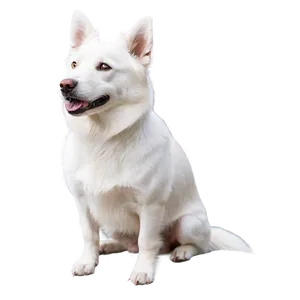 Majestic White Dog PNG 25 PNG