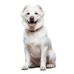 Majestic White Dog Png 65 PNG image