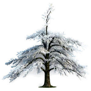 Majestic White Tree Panorama PNG Pyi PNG